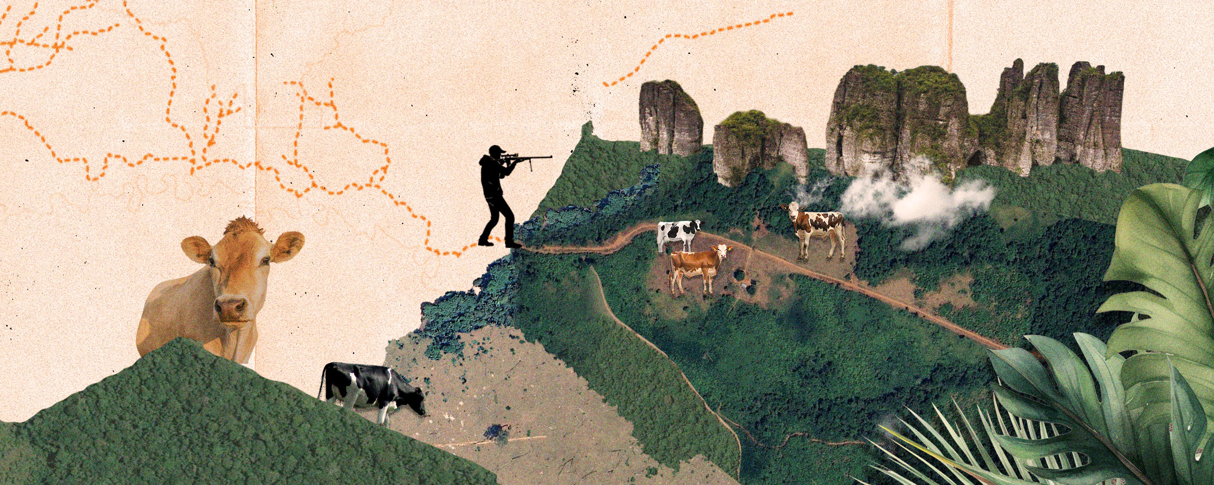 Potreros, peajes ilegales y grupos armados: un desastre provocado por cinco vías ilegales en la Amazonía de Colombia