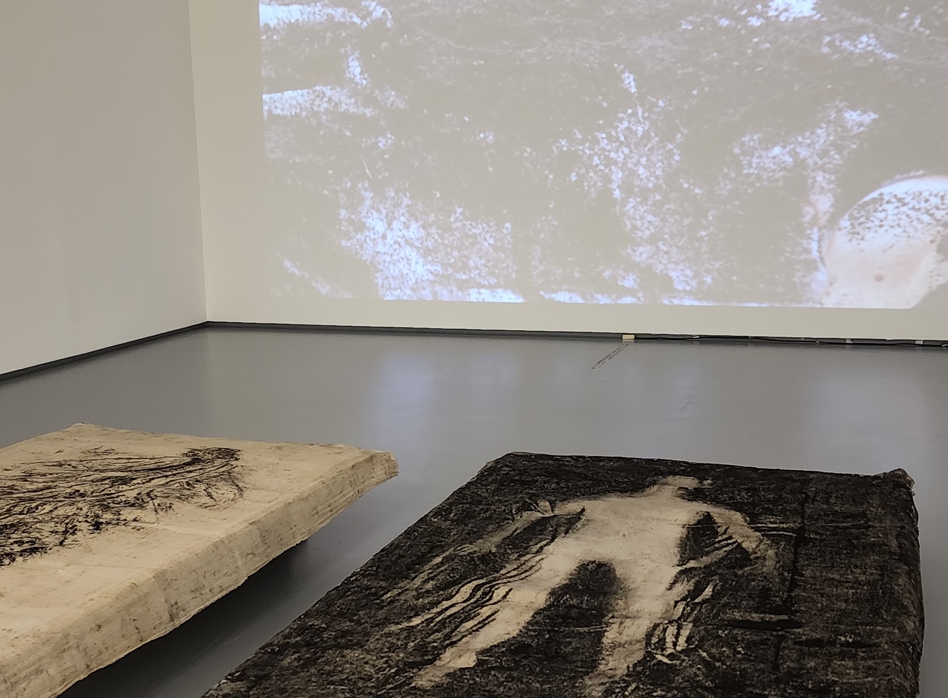 “Páramos cuerpos de agua / cuerpos en fuego”, exposición en la Tadeo