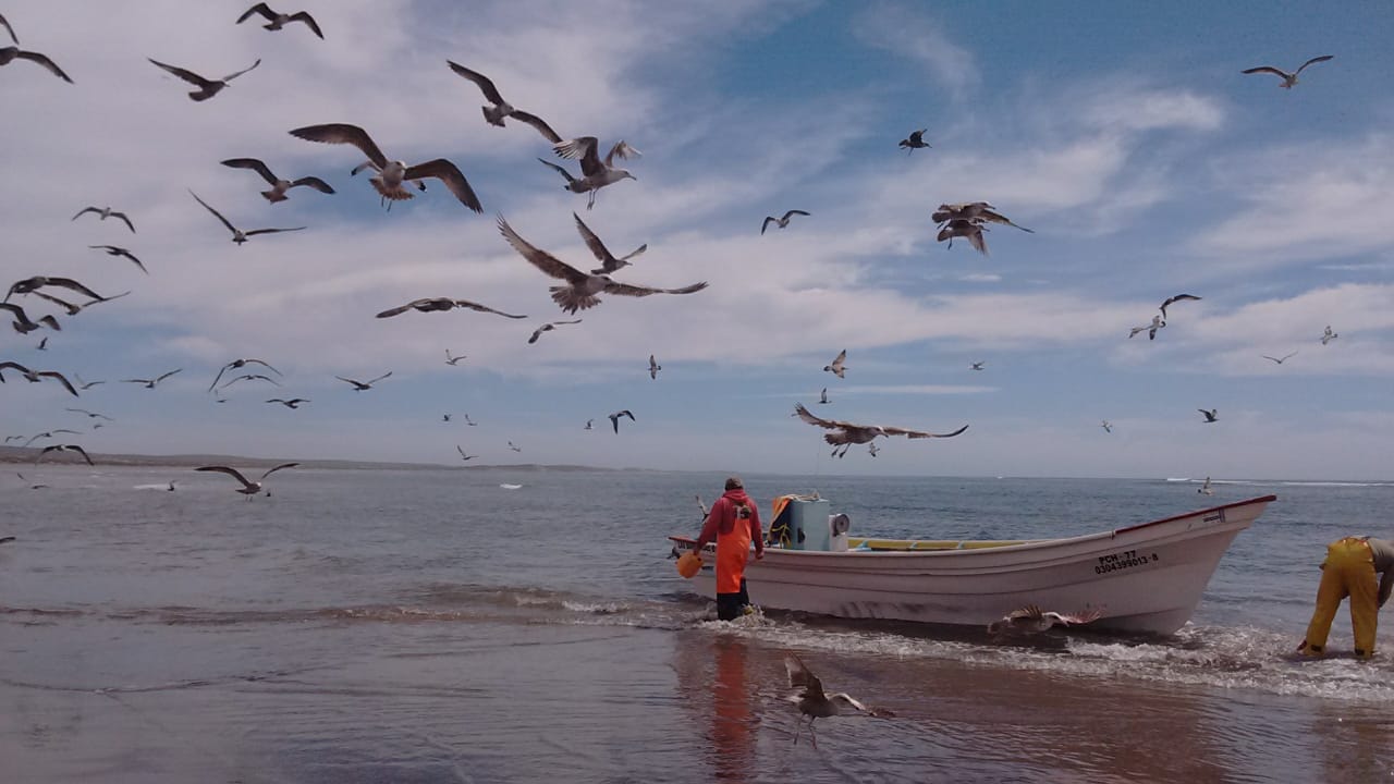 Minería submarina: México se enfrenta a compañía de Estados Unidos que busca extraer fósforo del mar en Baja California Sur