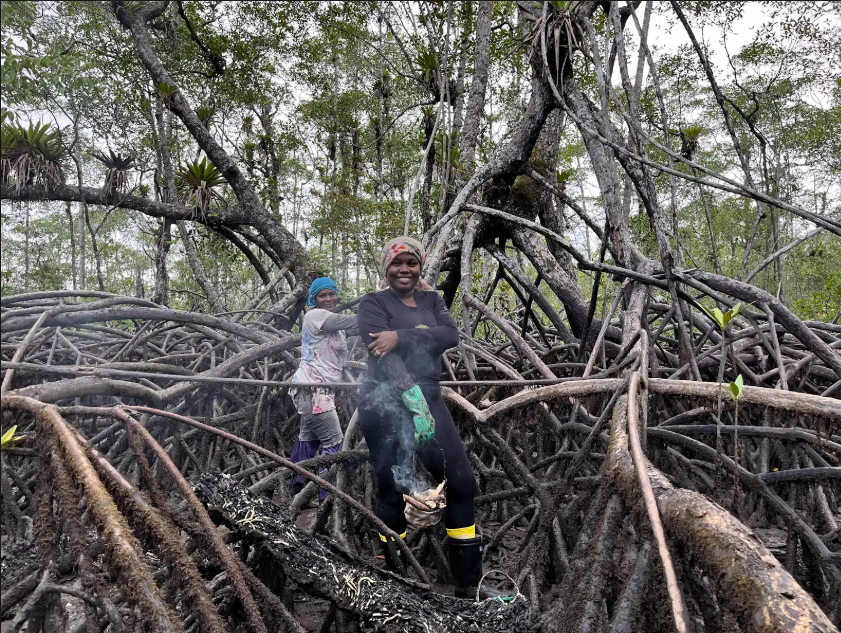 Pianguar: la raíz de la independencia de las mujeres del Pacífico colombiano