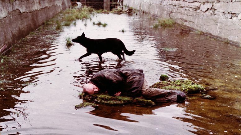Mark Strand y las aguas de la infancia