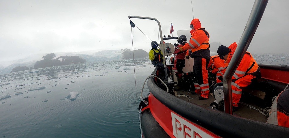 Efecto saltamontes: la crisis climática libera contaminantes del pasado atrapados en el hielo de la Antártida