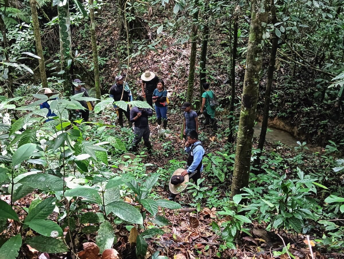 Resistir con palabra dulce: el diálogo indígena que combate la deforestación en Colombia
