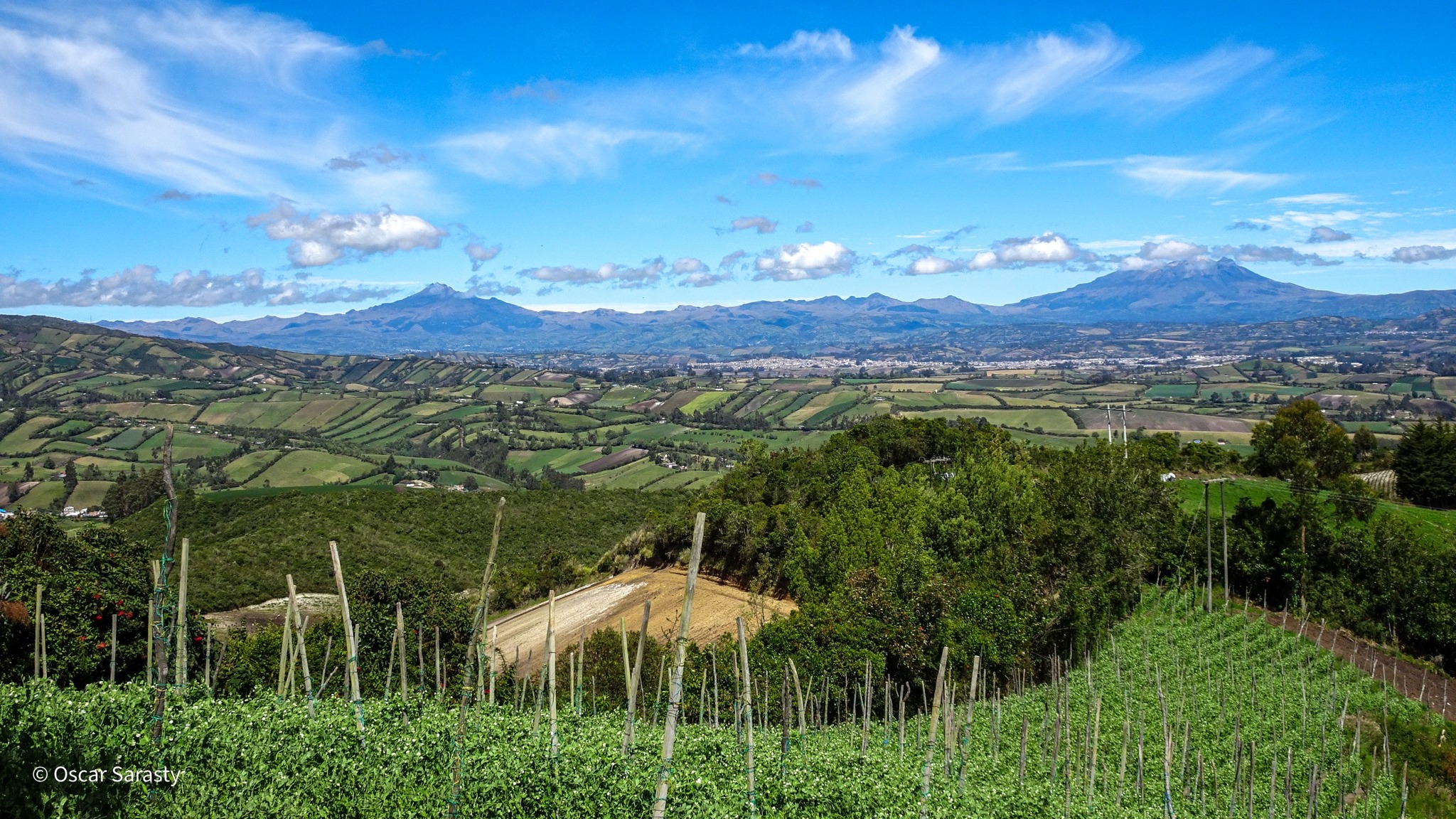 Fabio Verdugo Flórez y Guillermo Pilpud Moreno, Titanes del Carnaval Multicolor de la Frontera