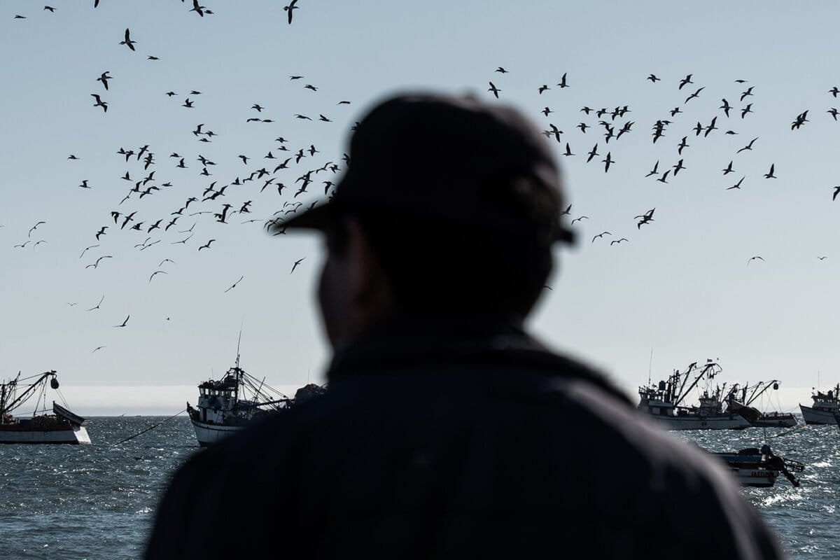 Piratas de Ecuador y Perú: el brazo logístico del narcotráfico detrás de las extorsiones a pescadores artesanales