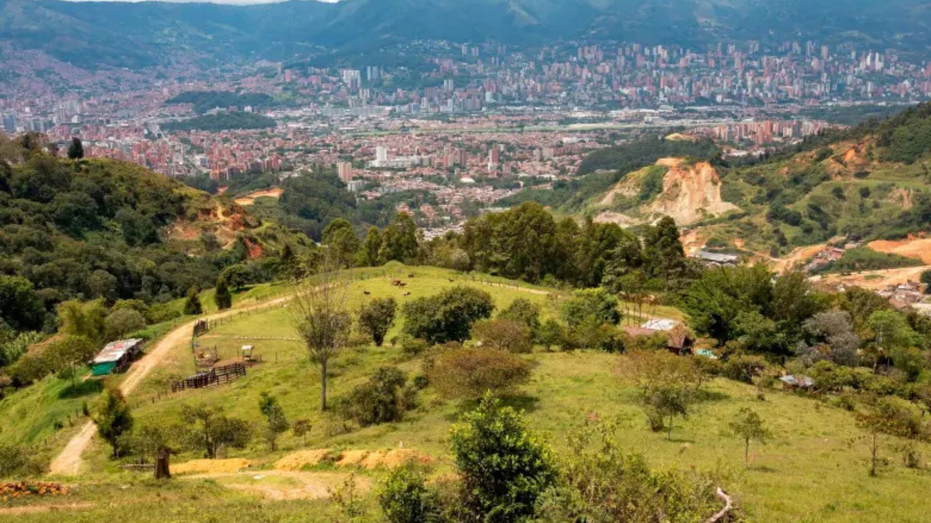 Aguas Vivas para Dummies