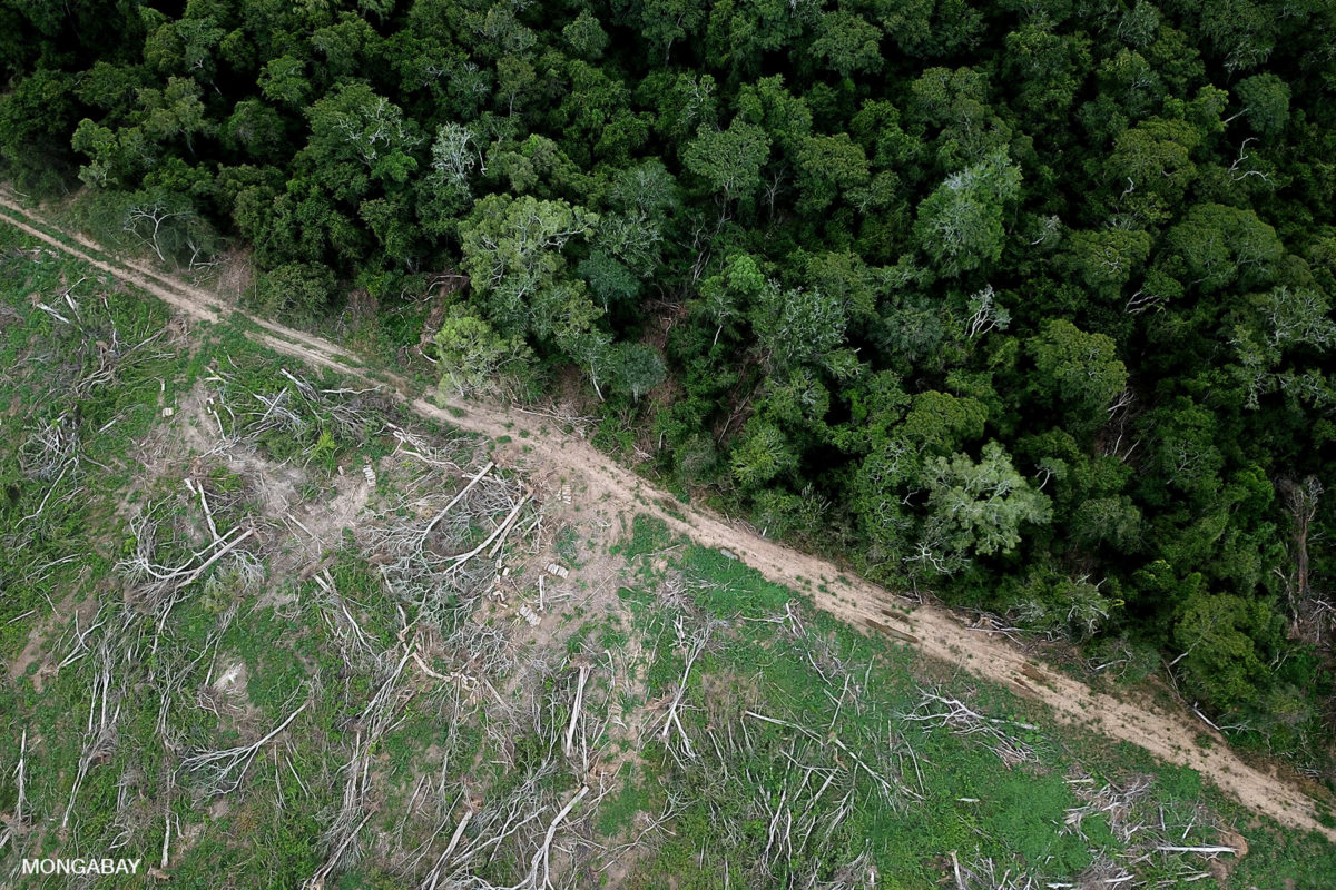 Bolivia: el presidente Paz elimina el Ministerio de Ambiente y lo pone bajo control de una cartera económica y de un empresario agroindustrial