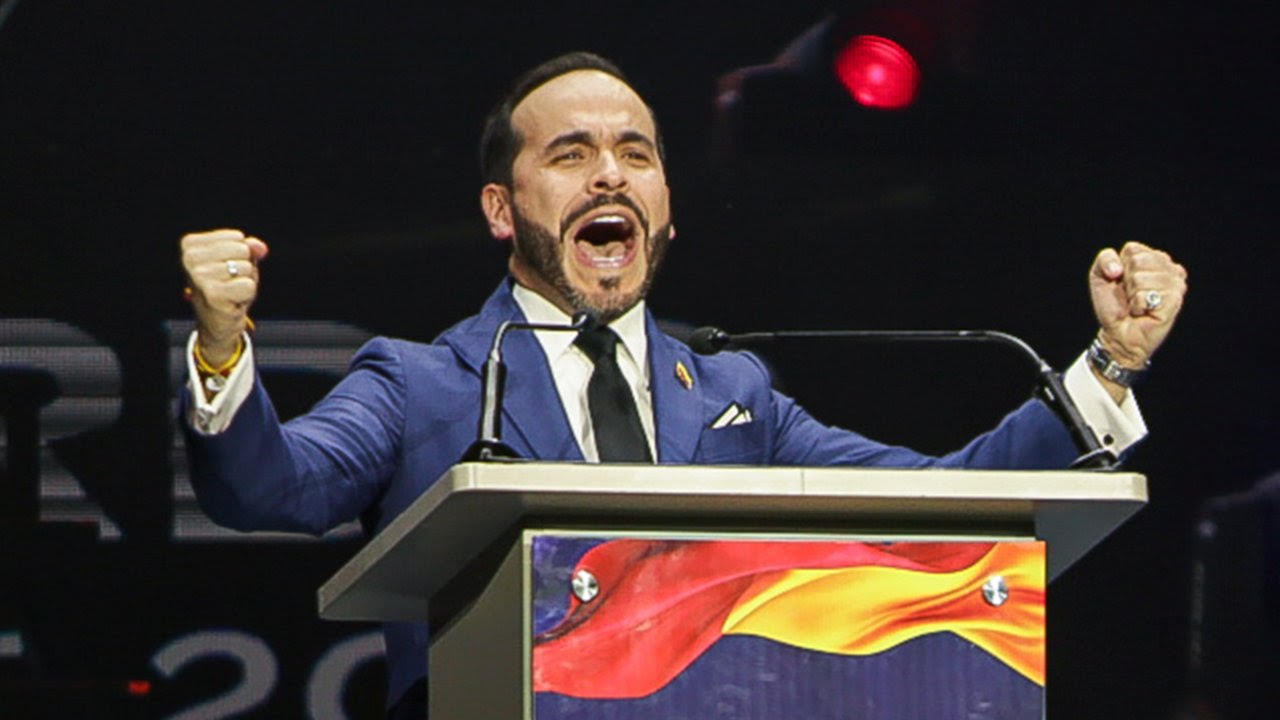 Abelardo: ¿Tigre o gato?