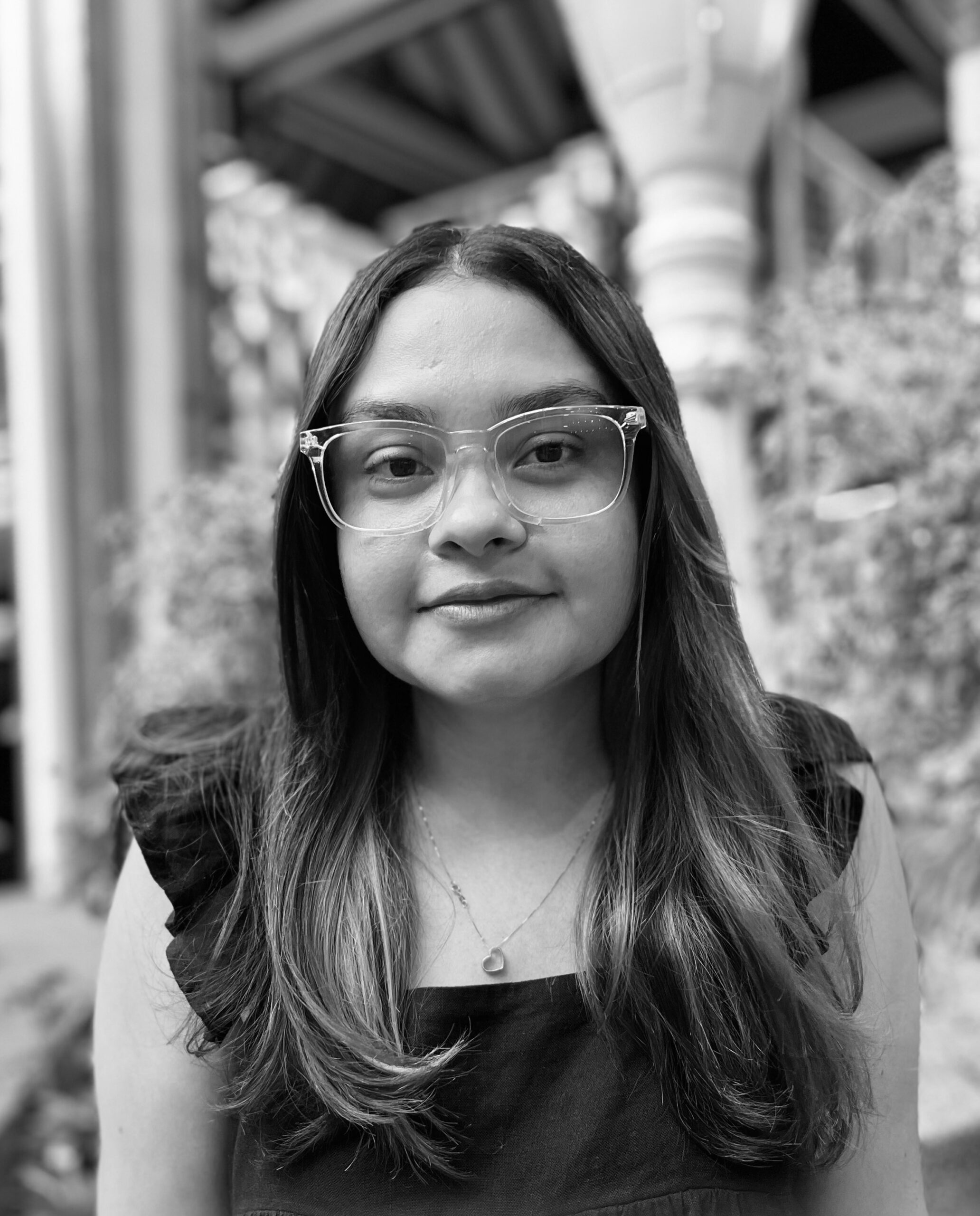 La falta de liderazgo claro y visionario: un camino hacia el caos político