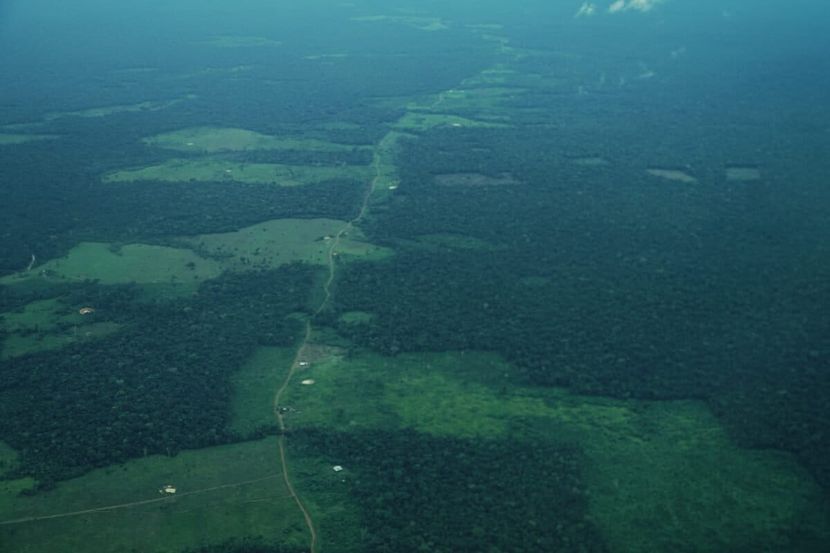 En imágenes: la devastación del bosque en Guaviare, un territorio acorralado por la guerra y la deforestación en Colombia