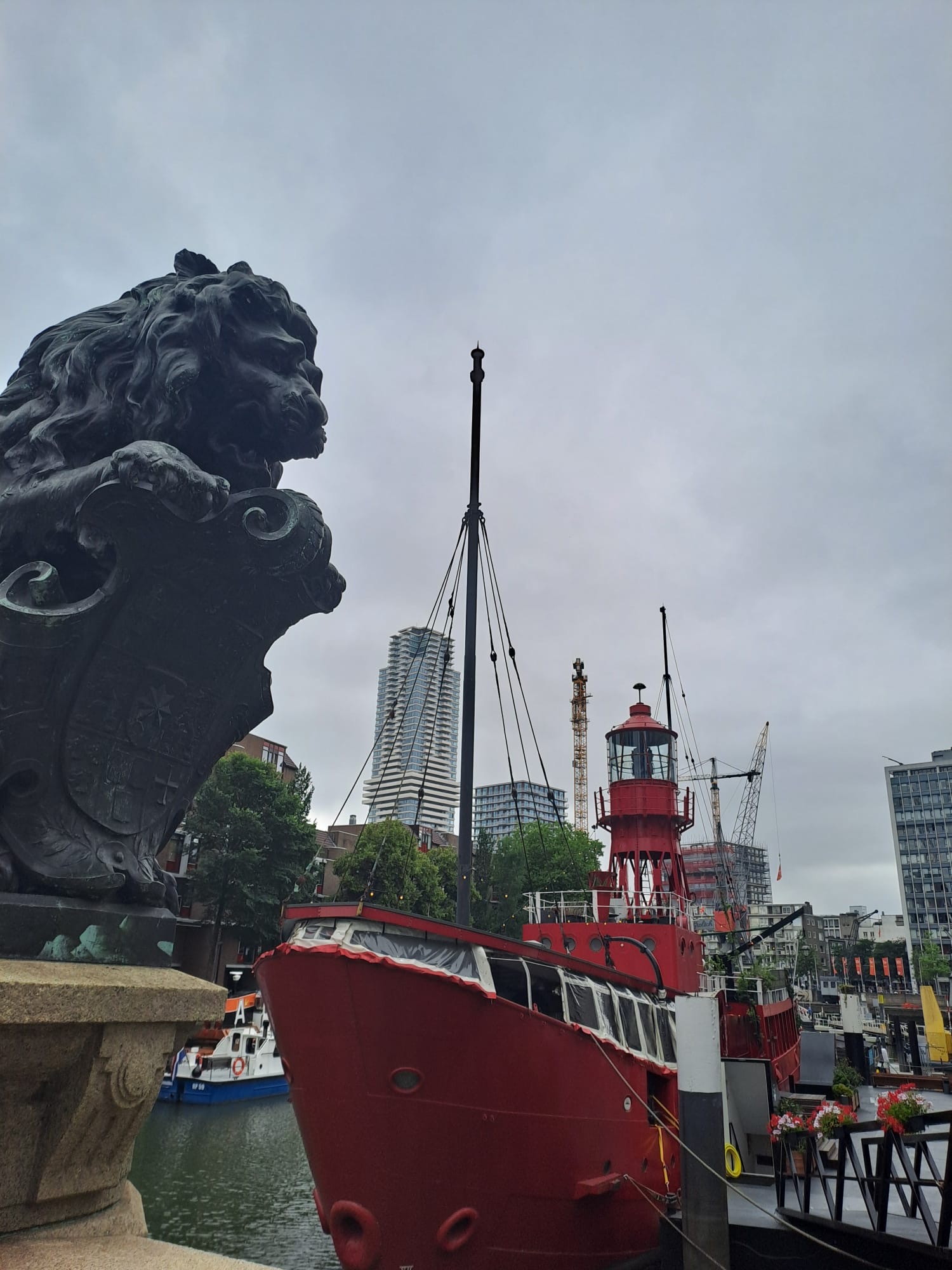 MAPY por el MUNDO… HOY: ROTTERDAM en un tipico SÁBADO…