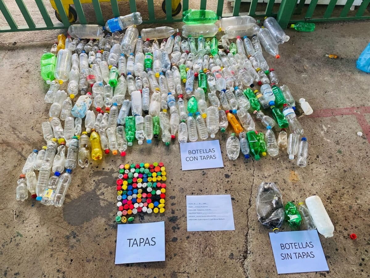 Perdidas en el océano, halladas en Latinoamérica: los recorridos de las botellas plásticas abandonadas