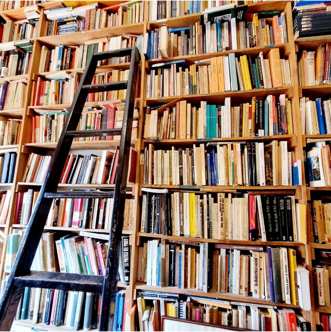 12 libros y 12 autores para regalar el 24