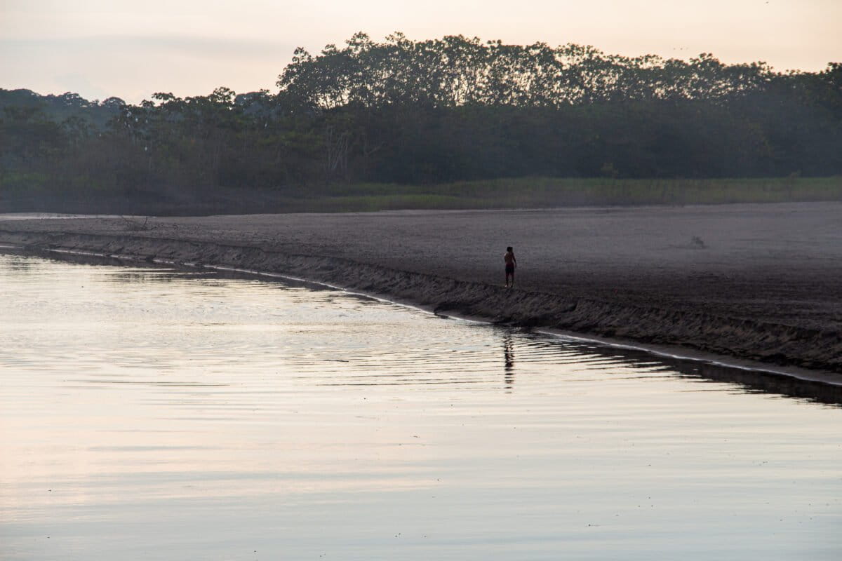 Colombia: el corredor de guerra que genera deforestación y desplazamientos en los pueblos indígenas nukak y jiw