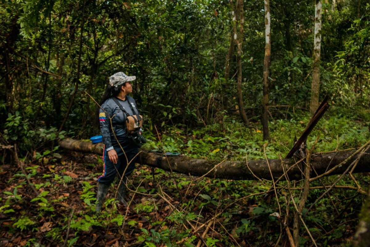 Colombia: viaje a un refugio de biodiversidad en medio de la deforestación de Mapiripán