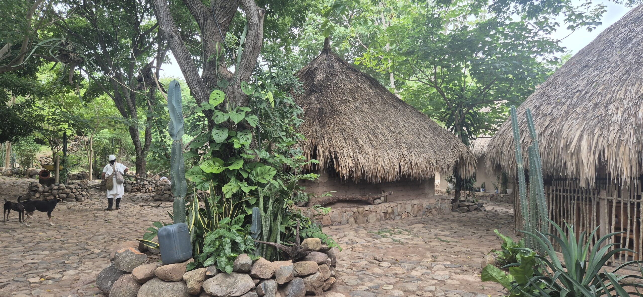 Colombia: los secretos de Swaka, un centro de pensamiento arhuaco en la Sierra Nevada de Santa Marta