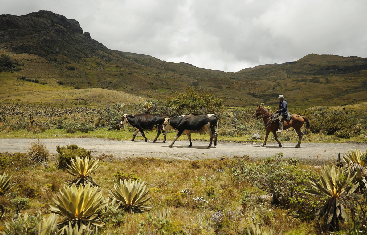 Colombia: la consulta por Ley de Páramos devela los retos de protegerlos sin afectar a sus comunidades