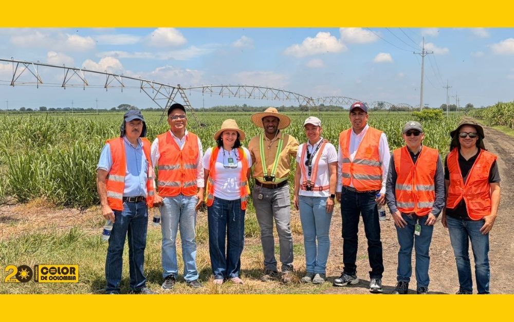 Mirada académica agroindustrial de @UNALoficial, @UniValleCol y @UniCauca a Ingenio Manuelita
