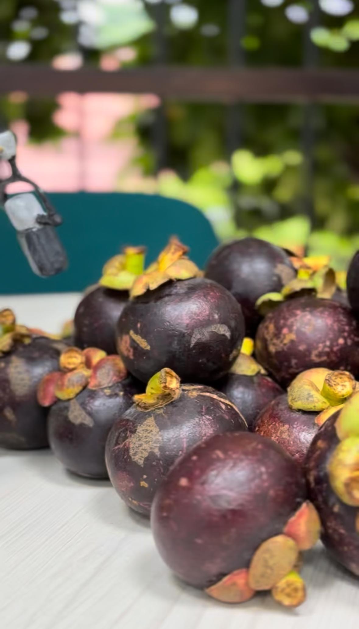 El mangostino, una fruta con denominación de origen: Mariquita