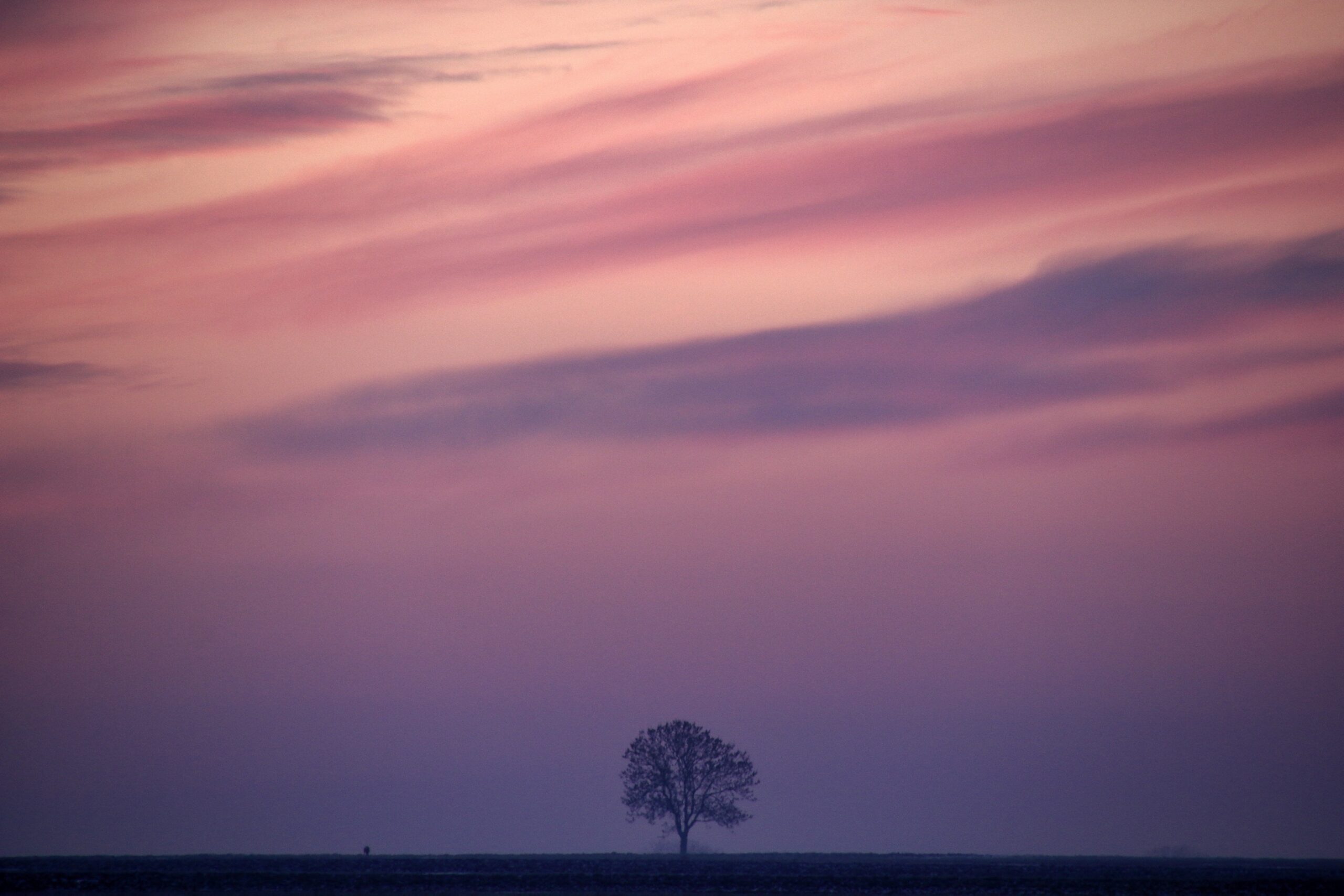 Como esperando abril