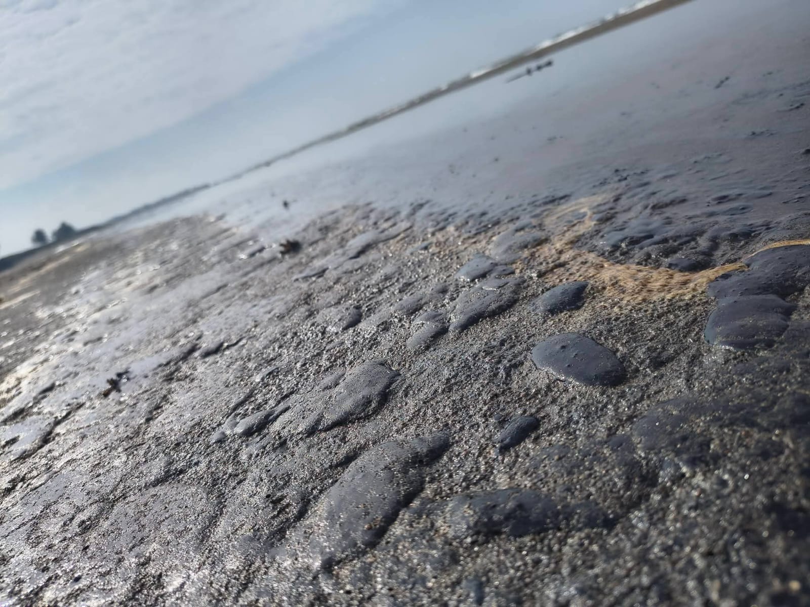 Crisis en el Golfo de México: científicos revelan nueva evidencia sobre el derrame de petróleo