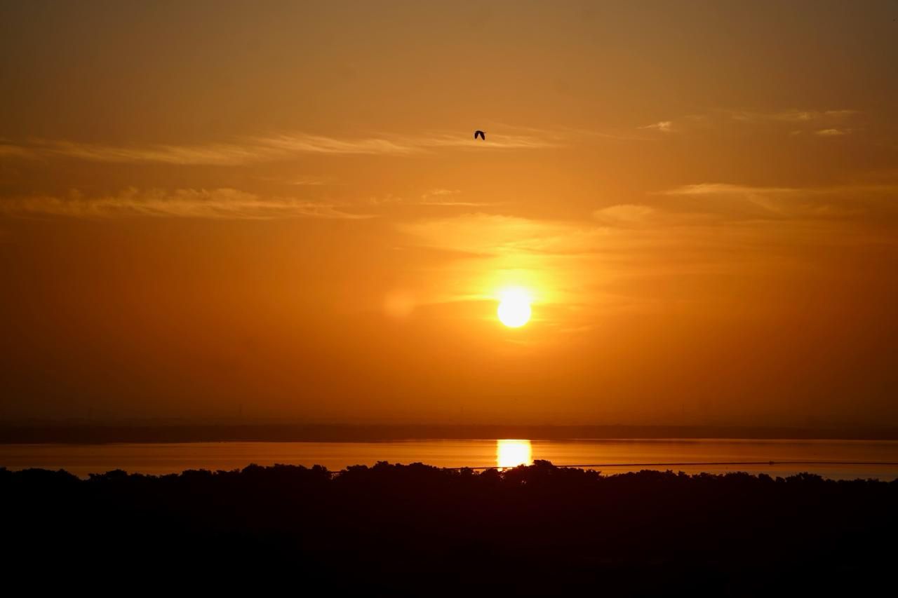 FICCI una EXPERIENCIA de luces, cámara y diversión…