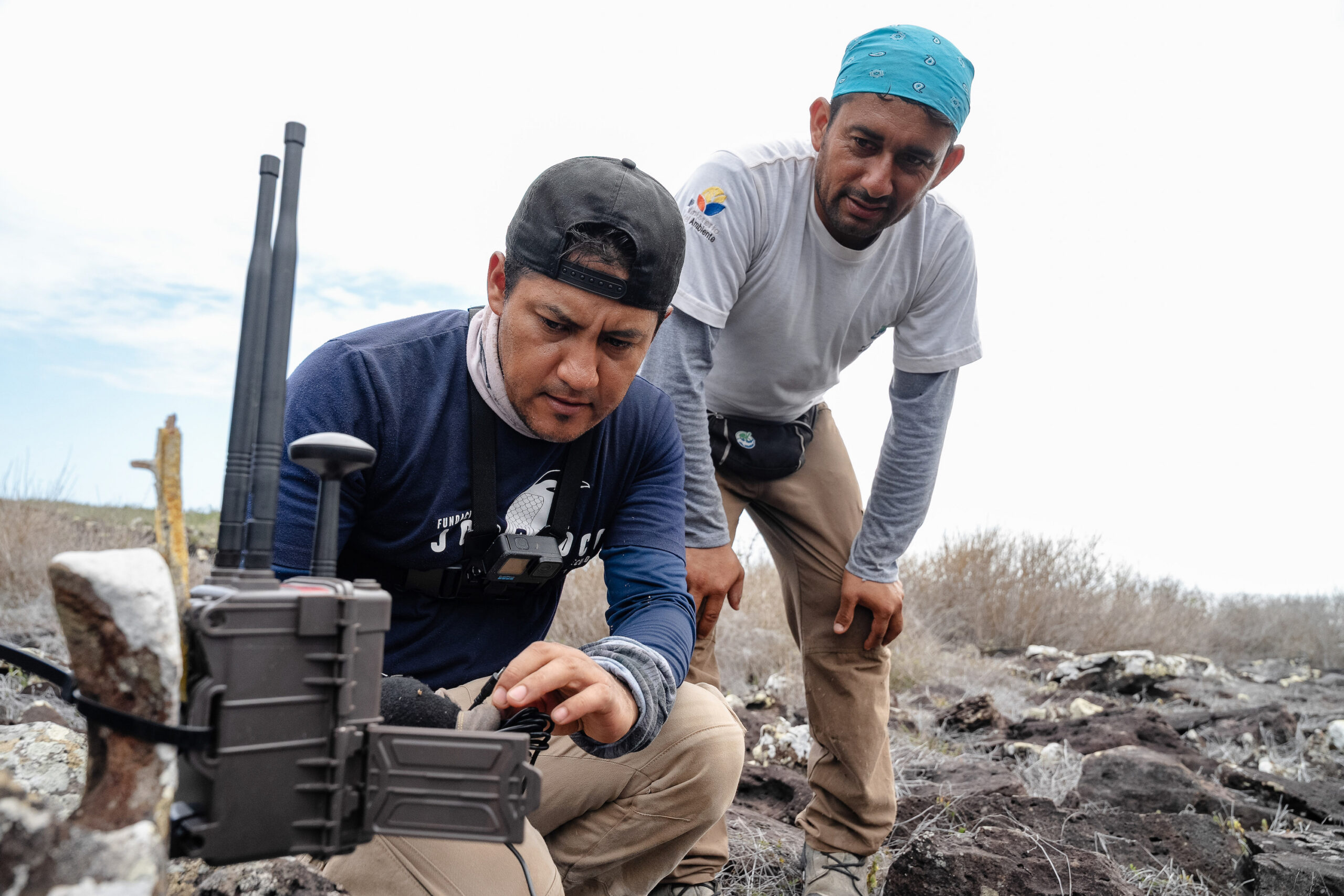 Ecuador: crean una «isla inteligente» para salvar a Galápagos de las especies invasoras