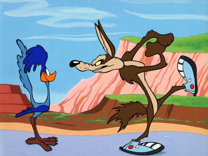 El coyote y sus motivos