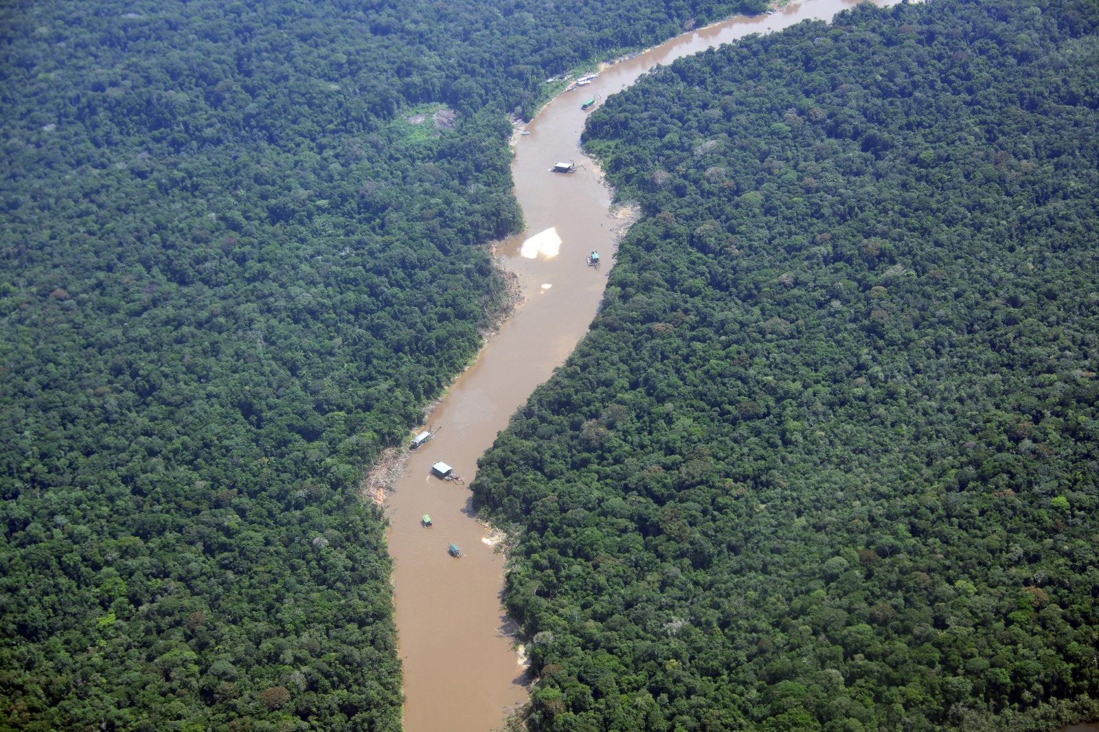 Minería ilegal en Colombia: deforestación por el oro avanza en el Parque Río Puré y pone en riesgo a pueblos indígenas en aislamiento