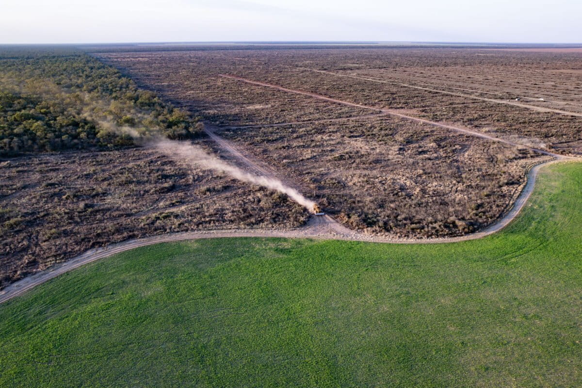 Argentina: cómo burlaron la Ley de Bosques en la provincia de Chaco para deforestar medio millón de hectáreas | ESTUDIO